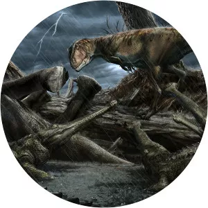 Davide Bonadonna - Illustrator