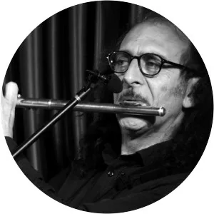 Davide Grottelli - Musical artist