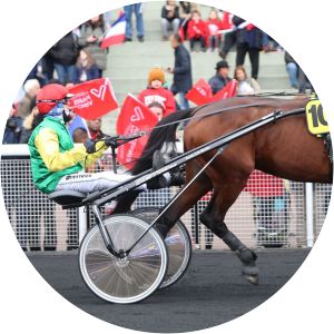 Davidson du Pont - Horse