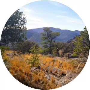 Davis Mountains - Mountain range in Texas