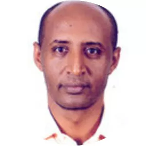 Dawit Alemu - Author