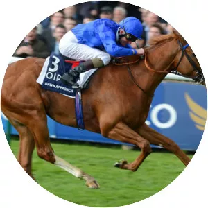 Dawn Approach photograph