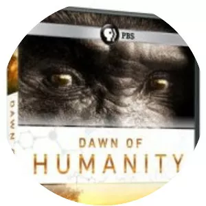 Dawn of Humanity