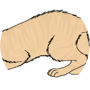 Dawnpelt - Fictional character