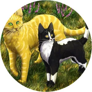 Dawnstripe - Fictional character