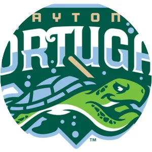 Daytona Tortugas