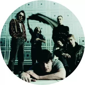 Dazibao - Musical band