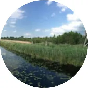 De Alde Feanen National Park - 