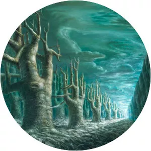 De Es Schwertberger - Artist