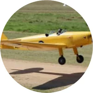 de Havilland Moth Minor - Aircraft model