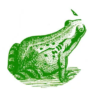 De Kikvorschen - Musical group