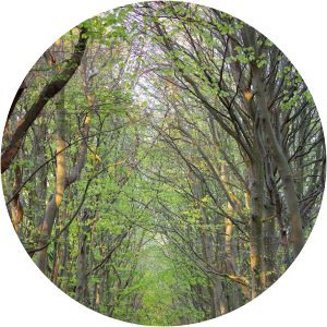 De Manteling van Walcheren Oostkapelle