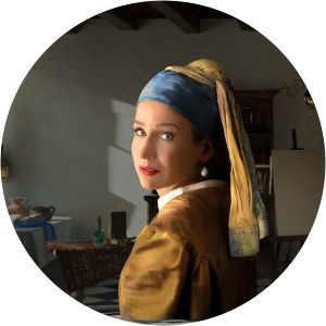 De Nieuwe Vermeer - TV program