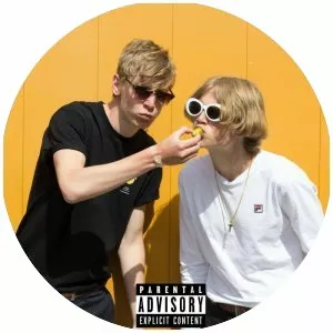 De To Musketerer - Musical artist