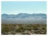 Dead Mountains Wilderness Area - 
