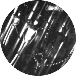 Deadfront - Musical group