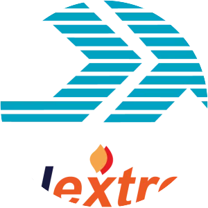 Deal Extreme - Company