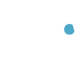 Dealer Inspire, Inc.