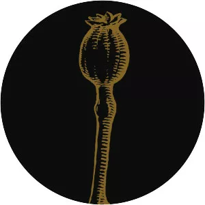 Death Like Mass - Musical group