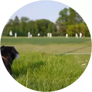 Death of a Gentleman