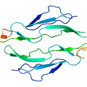 Decay-accelerating factor - Protein