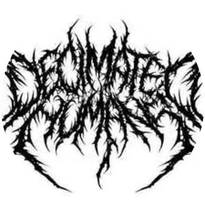 Decimated Humans - Band