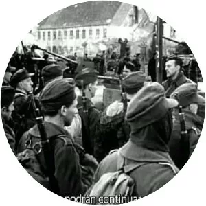 Decision Before Dawn - 1951 ‧ Drama/Thriller ‧ 1h 59m