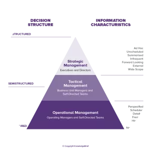 Decision support system - 
