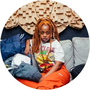 Dee Koala - Musical artist