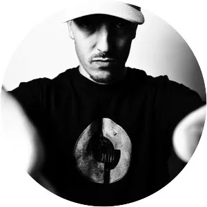 Deejay Irie - Musical artist