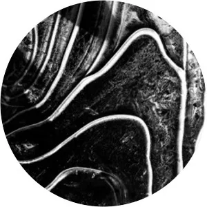 Deemkeyne - Musical artist