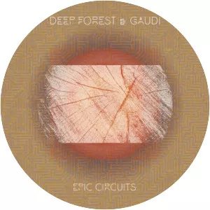 Deep Forest, Gaudi - Musical artist