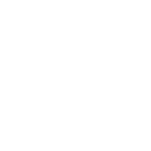 Deep Silver - Video game publisher