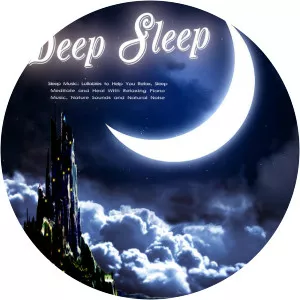 Deep Sleep - 2013 ‧ Thriller/Mystery ‧ 1h 7m