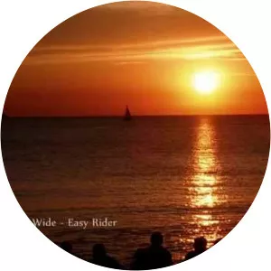 a new funky generation deep & wide - Musical band