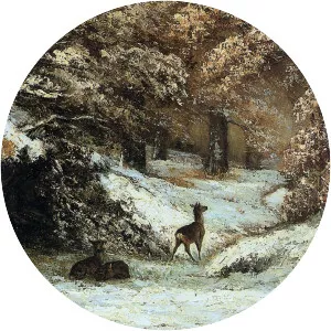 Deer Taking Shelter in Winter