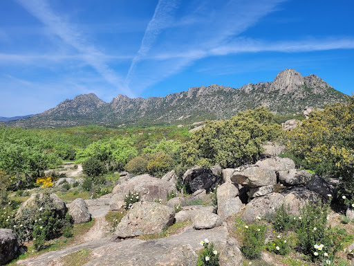 Dehesa de la Cabrera - Hiking area in Spain