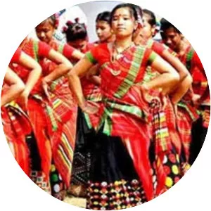 Dehing Patkai Festival - 