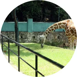 Dehiwala Zoo - 