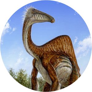 Deinocheirus