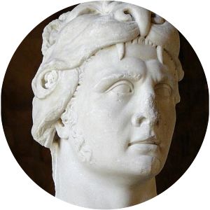 Deiotarus photograph