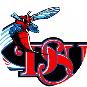 Delaware State football