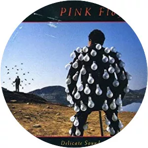 Delicate Sound of Thunder