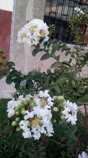 Delicias Snack Jugueria - Restaurant