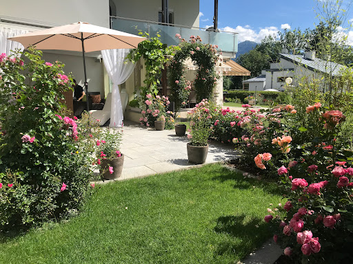 Delizia Art Creations - Artist in Gnadenwald, Austria