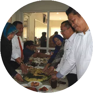 Delmeria Harun Sikumbang - Member of the People's Representative Council of the Republic of Indonesia