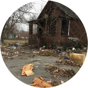 Delray - Neighborhood in Detroit, Michigan