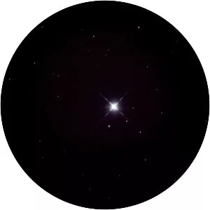 Delta Ursae Majoris