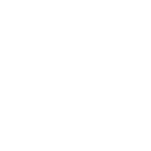 Democracy in Europe Movement 2025