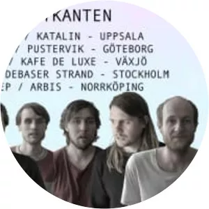 Den svenska björnstammen